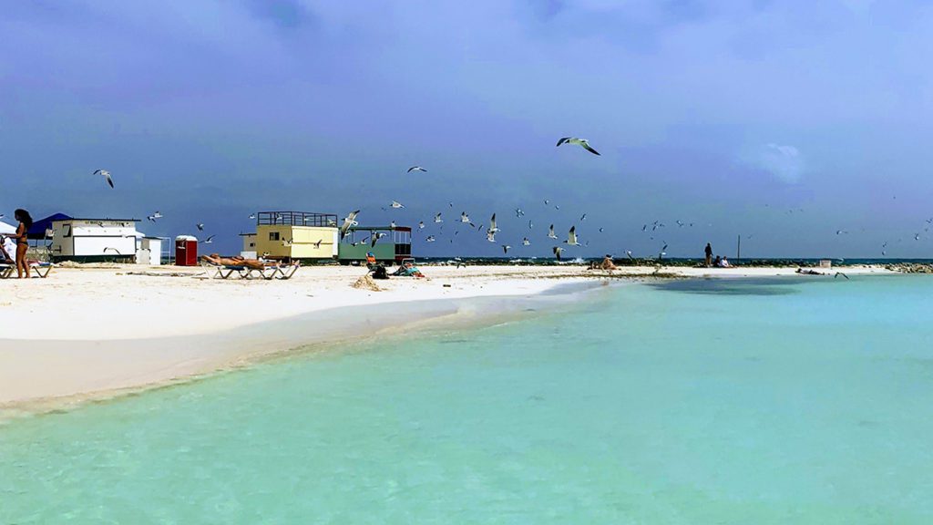 caribbean photo aruba beach