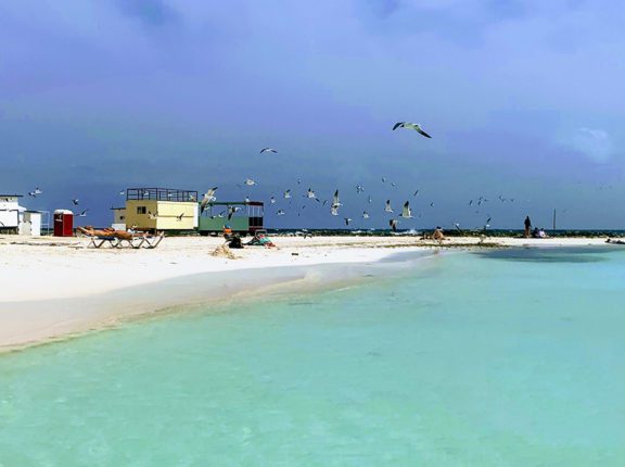 caribbean photo aruba beach