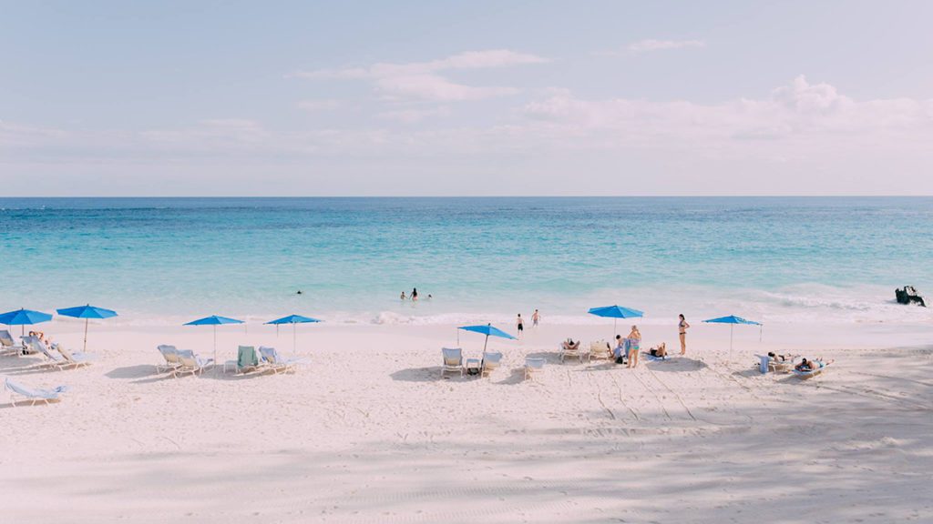 bermuda tourism ceo