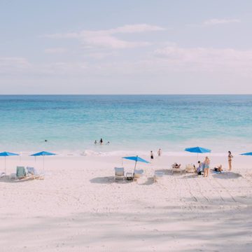 bermuda tourism ceo