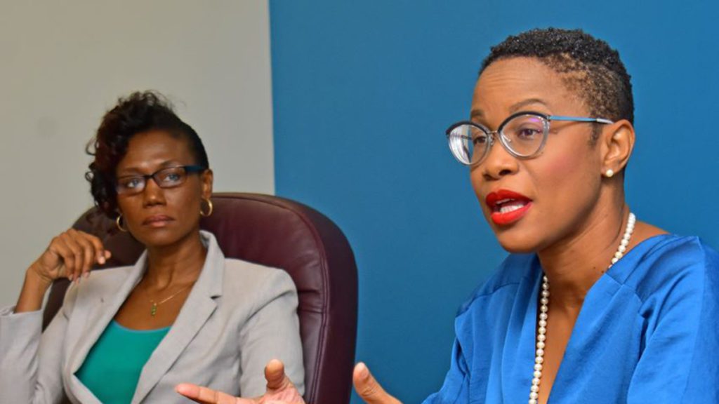 barbados tourism minister new