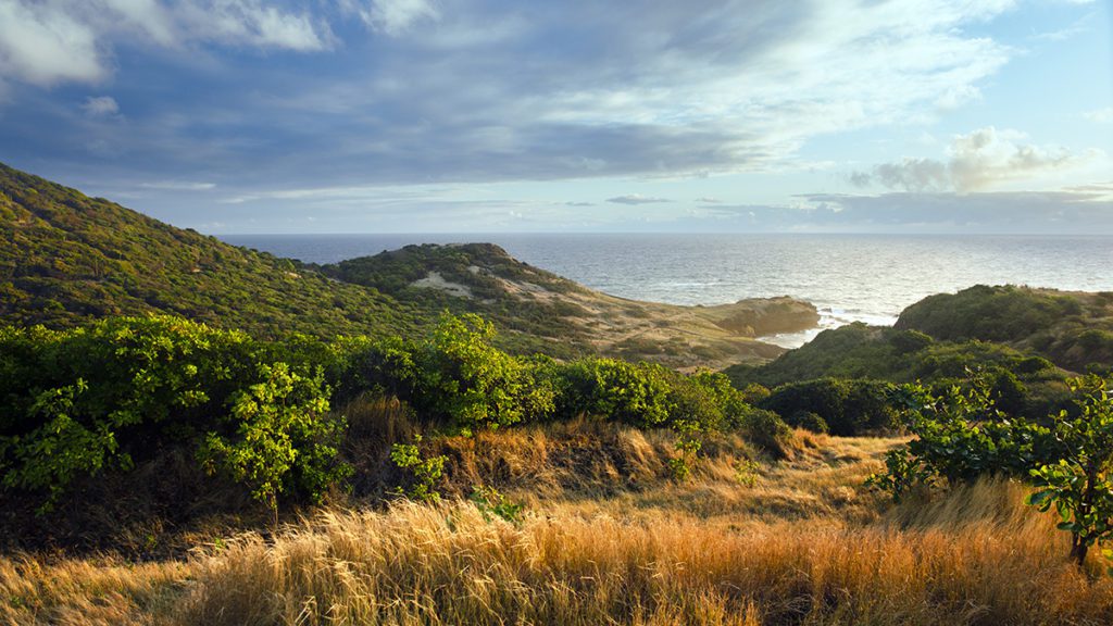 caribbean golf saint lucia