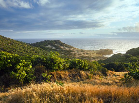 caribbean golf saint lucia