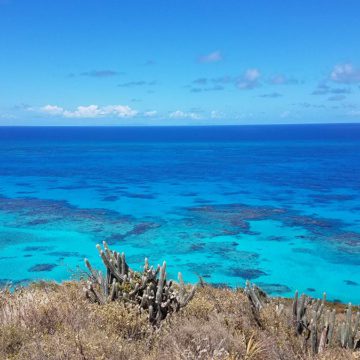 caribbean photo buck island