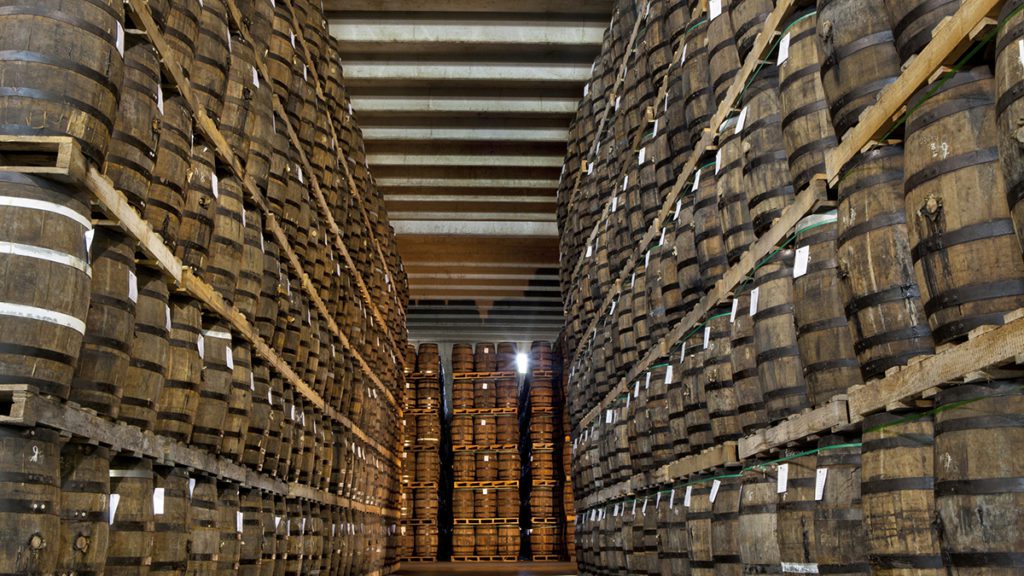 dominican republic rum