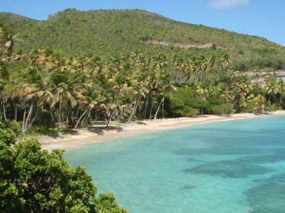 st vincent grenadines cruise