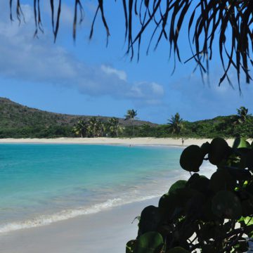 caribbean photo puerto rico culebrita