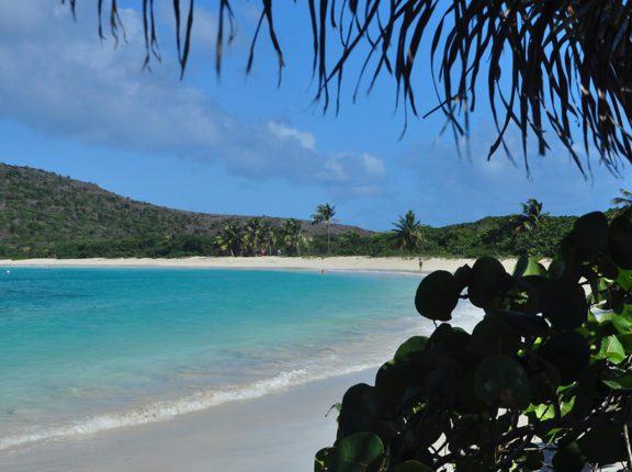 caribbean photo puerto rico culebrita