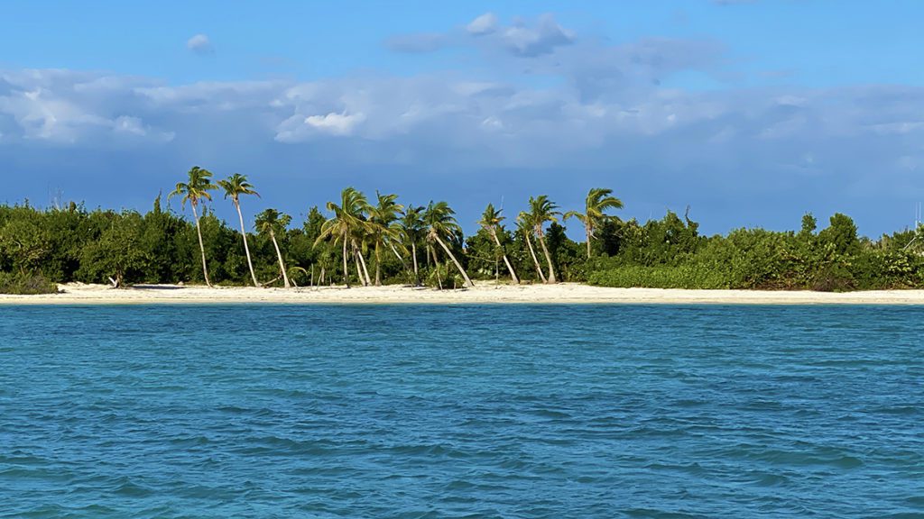 bahamas tourism momentum