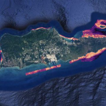 caribbean coral reefs