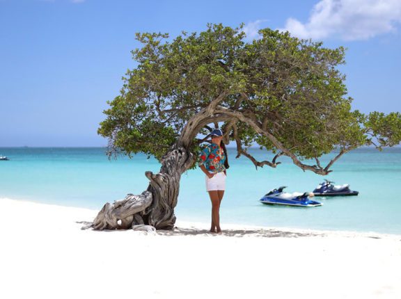 caribbean photo aruba eagle