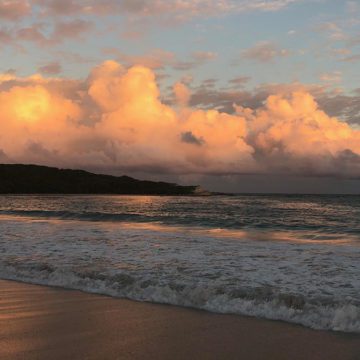 caribbean photo antigua half moon