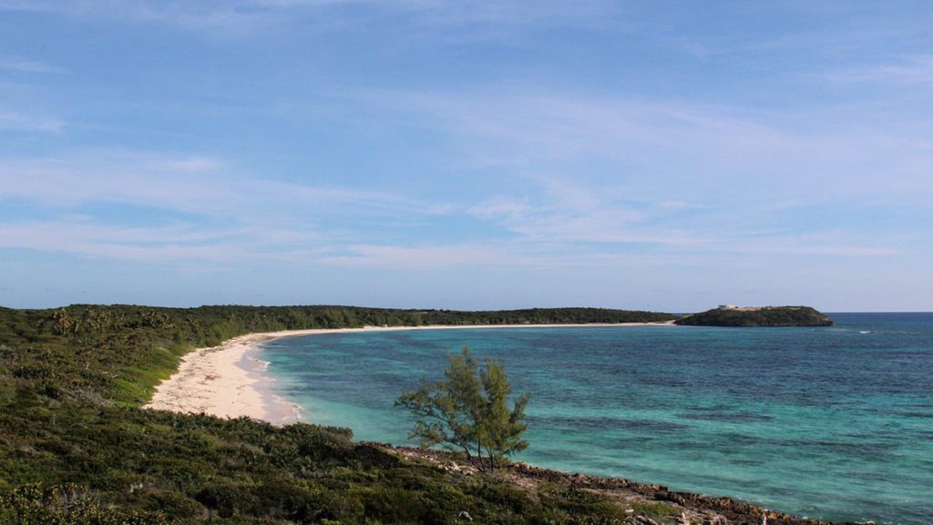 tiger woods caribbean real estate