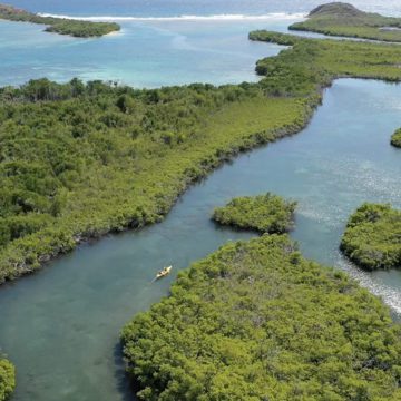 st thomas mangroves kayaking