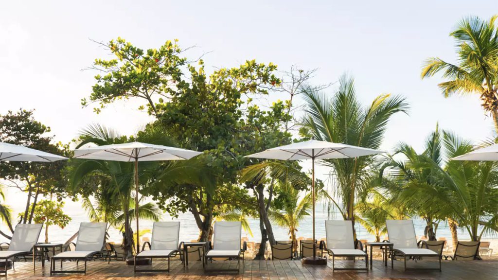 caribbean choice hotels vp