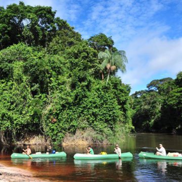 suriname american airlines