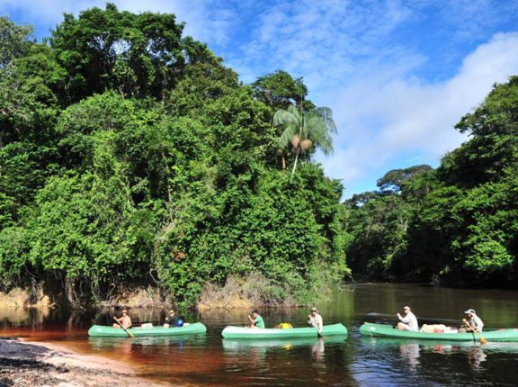 suriname american airlines