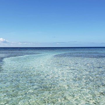 caribbean photo aruba mangel halto