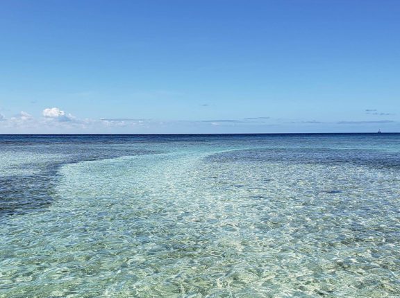 caribbean photo aruba mangel halto