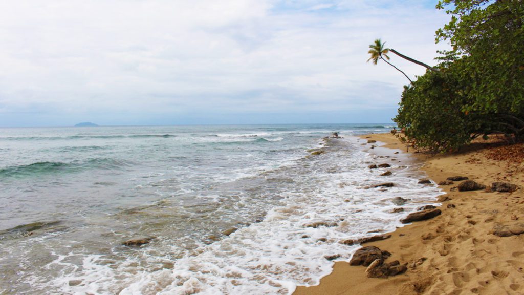 puerto rico beach rincon