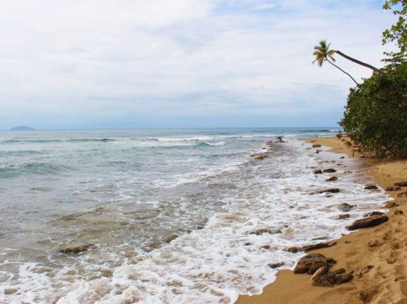 puerto rico beach rincon