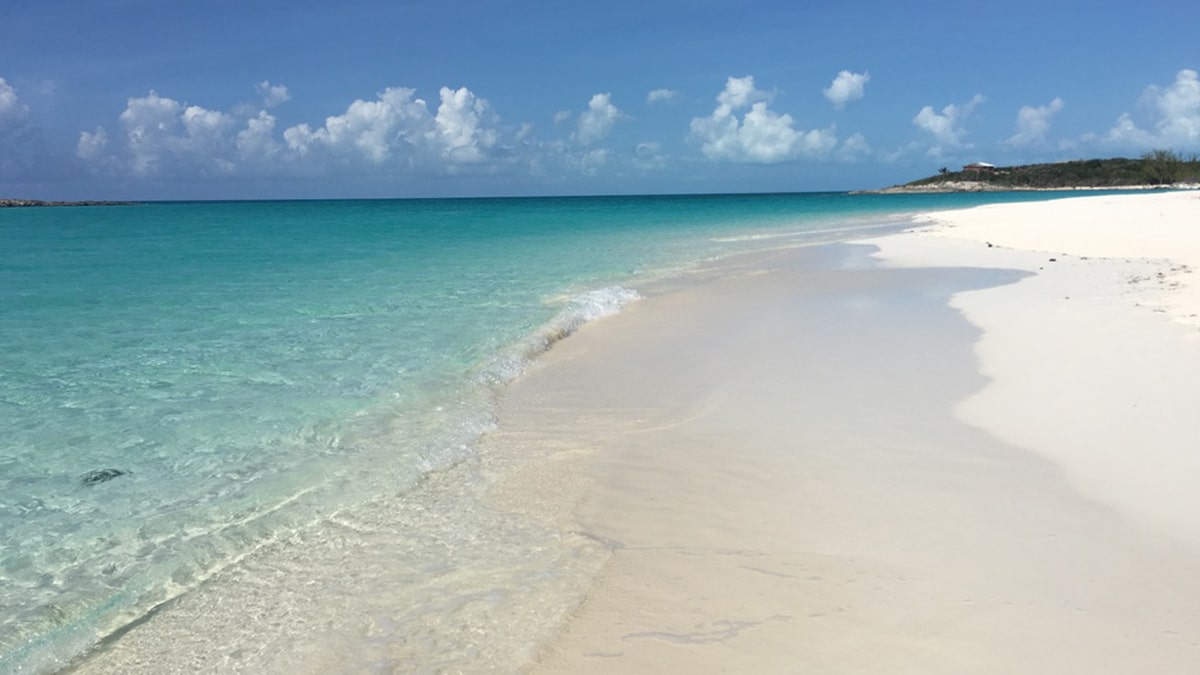 bahamas vaccinated travelers