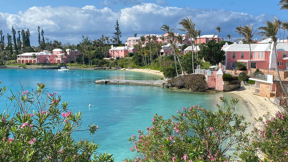 bermuda resort benchmark