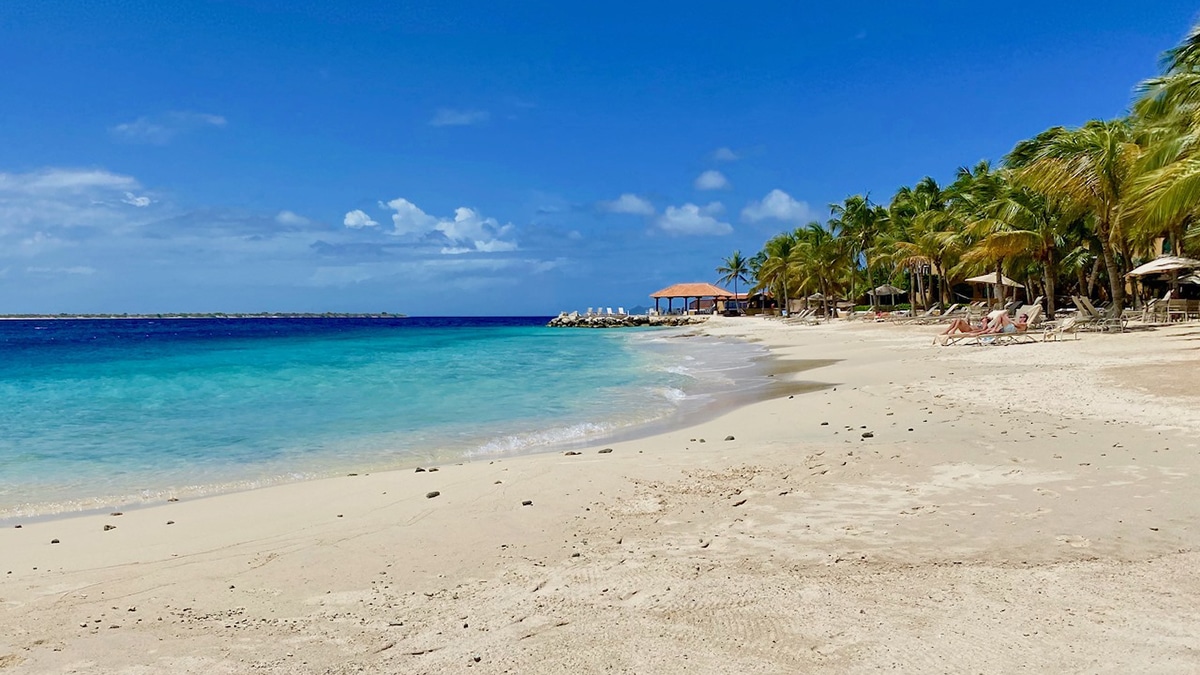 How to Visit Bonaire Right Now Caribbean Journal