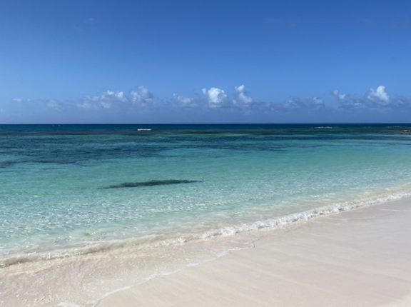 antigua barbuda caribbean tourism director