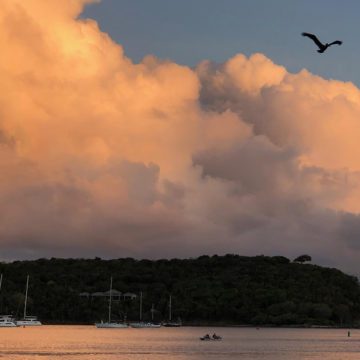 caribbean photo antigua freemans