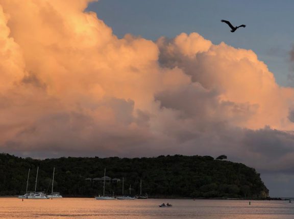 caribbean photo antigua freemans
