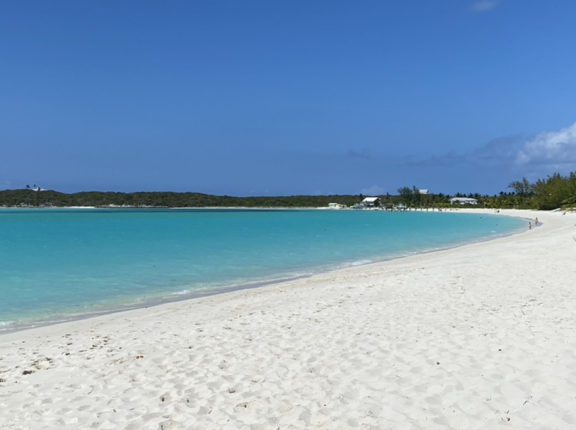 bahamas fly
