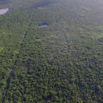 long island bahamas parcel