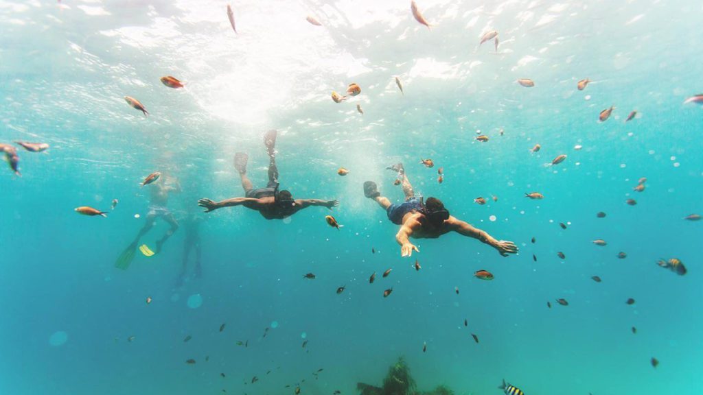 barbados cruise ship back