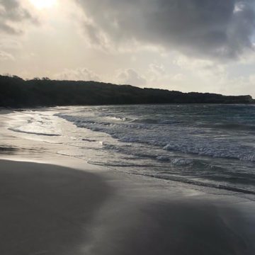 caribbean photo antigua half moon