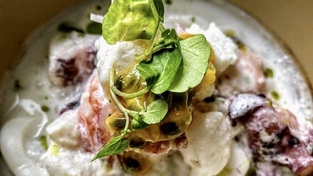 caribbean recipe octopus ceviche