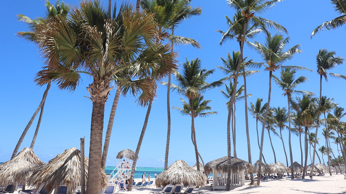 J Balvin Is Coming to Punta Cana