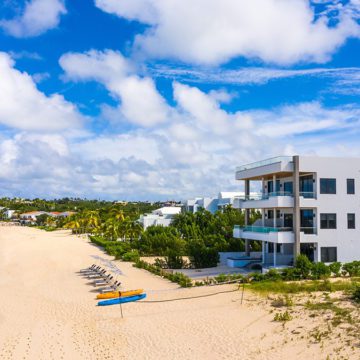 anguilla american