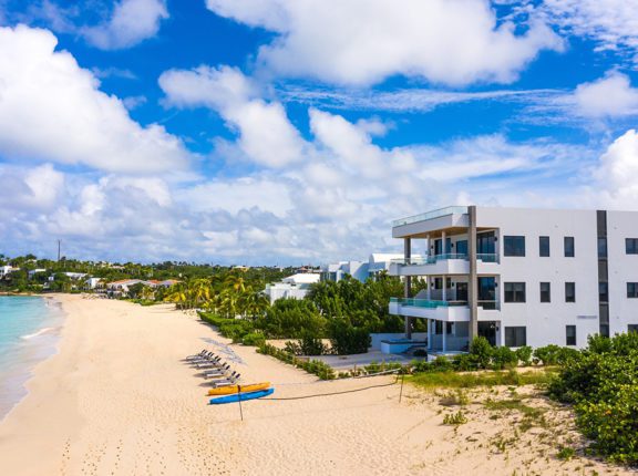 anguilla american