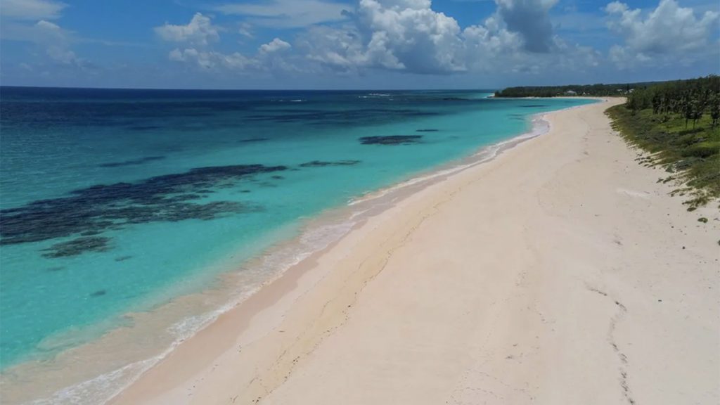 eleuthera french leave