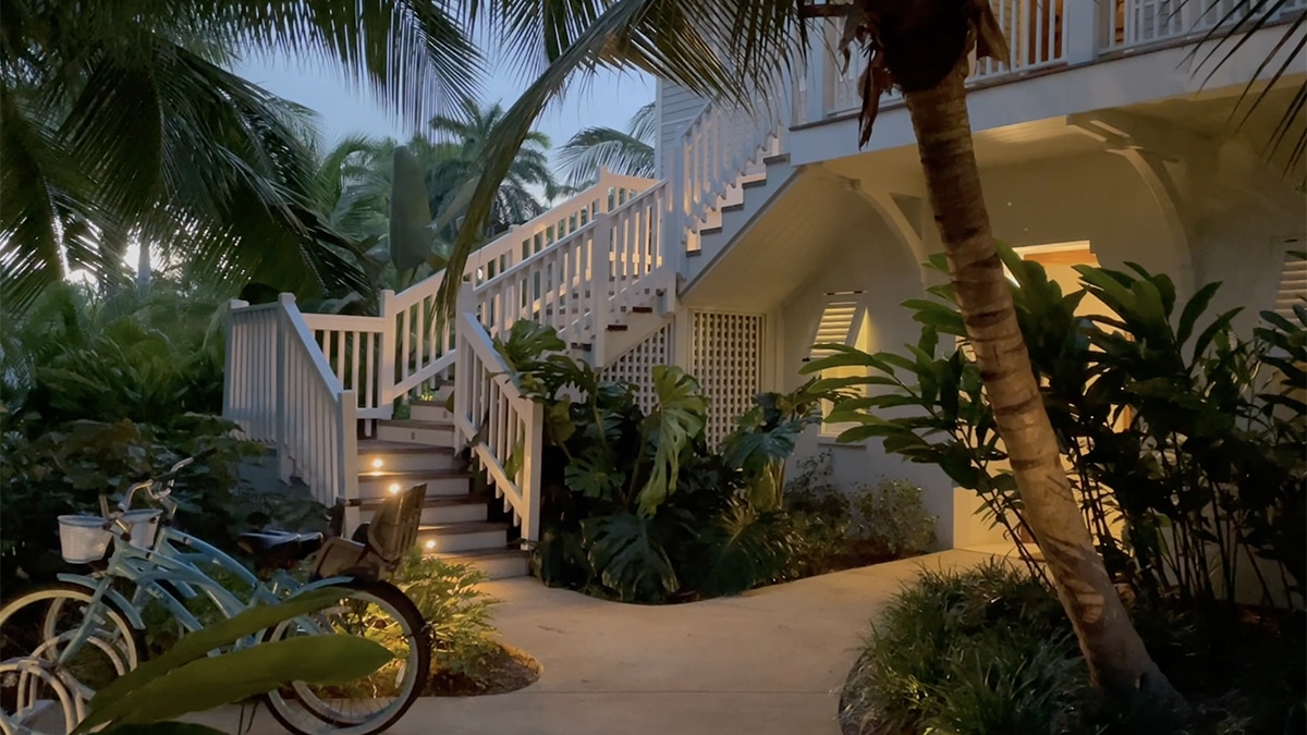 Caribbean Moment A Tree Frog Serenade at Half Moon, Jamaica