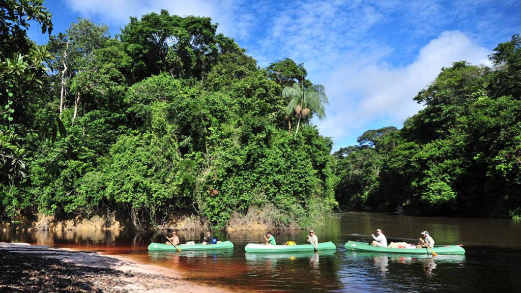 american airlines suriname