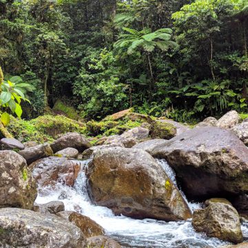 unesco martinique