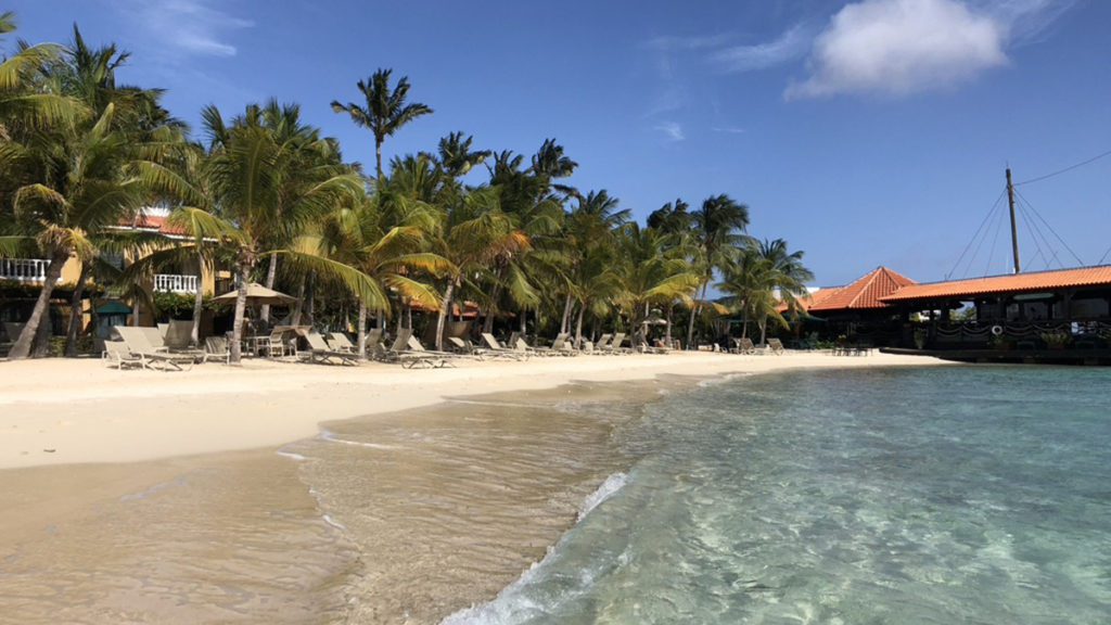 bonaire tourism travelers