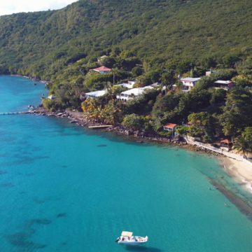 martinique american airlines