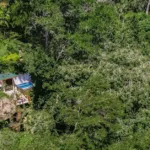 caribbean treehouse hotels