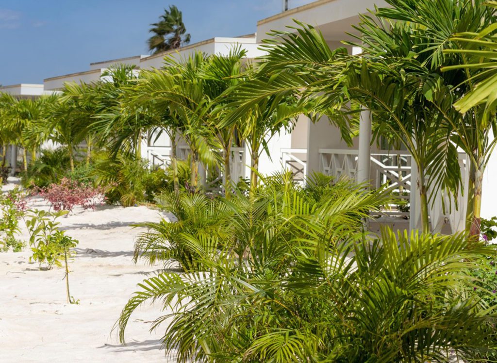 caribbean bonaire beach resort