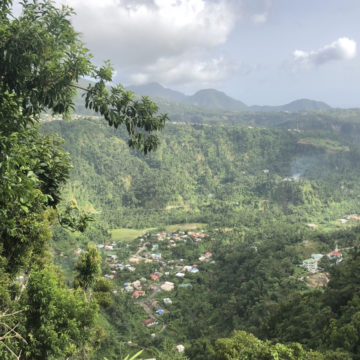 dominica cruise