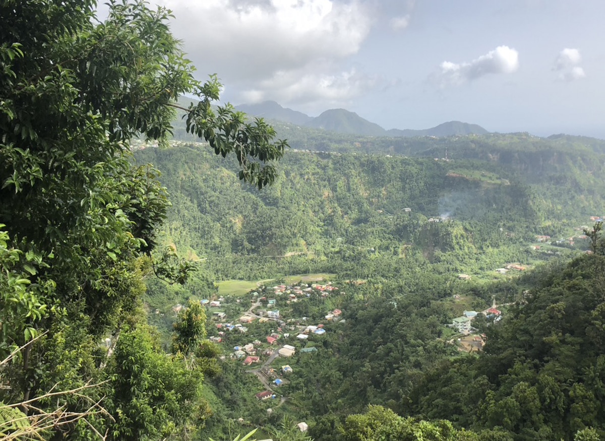 dominica cruise