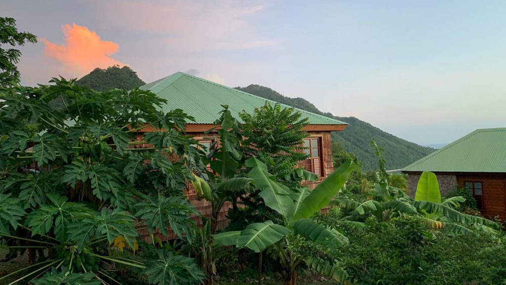 jungle bay adventure hotels